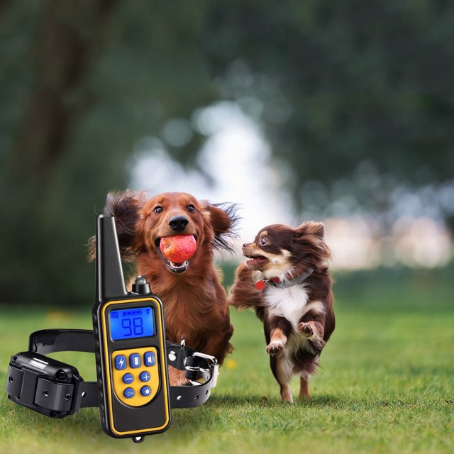 Collar de control de perro eléctrico Collar de choque de ahorro de energía para suministros para el hogar al aire libre Hugtrwg Para estrenar