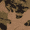 Green Camo, variant on Kacey Lee Camo Print Y'all Pet Tee for Cats and Dogs, Green Camo, Extra Small