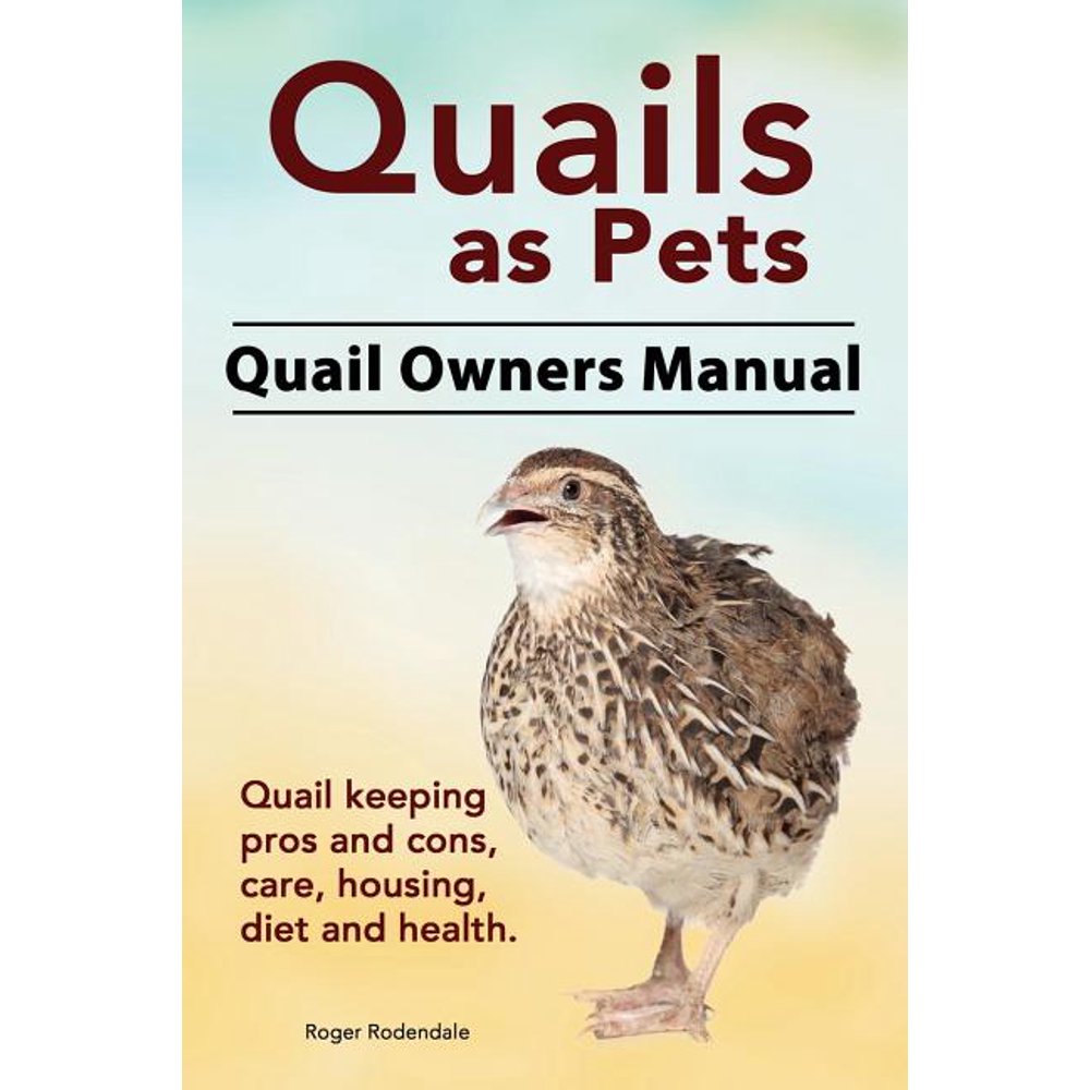 Quails as Pets. Quail Owners Manual. Quail Keeping Pros and Cons, Care