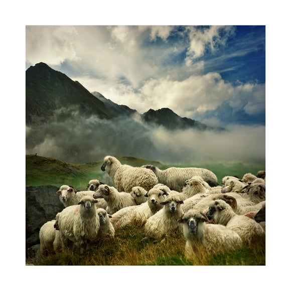 Istvan Kadar 'The Silence Of The Lambs' Canvas Art