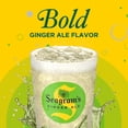 thumbnail image 6 of Seagrams Ginger Ale Soda Soft Drinks, 7.5 fl oz, 10 Pack, 6 of 8