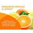 thumbnail image 5 of Bright Air Super Odor Eliminator Air Freshener, Mandarin Orange & Fresh Lemon, 14oz, Case of 6, 5 of 8