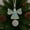 Multicolor-Free Size-LEI251210002, variant on Handmade Sea Glass Birds Ornament Hanging Decor Window Sun Catcher Gift Nature Lover Beach House Living Room Bedroom Christmas Home Decor Recycled Coastal Art Decoration For Ocean Theme Holiday Piece
