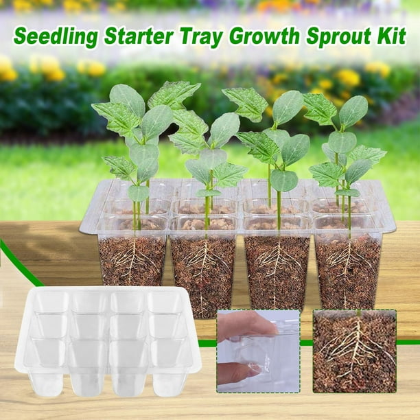 Bandeja para sembrar semillas con orificios de drenaje | Kit de germinación de plástico reutilizable de 18 x 14 x 5 cm | Gruesa y duradera para esterillas térmicas | Jardín de hierbas de interior y