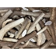 thumbnail image 6 of Elkhorn Premium Chews Large whole (7-10” long) elk antler chew for 35-65 lb dogs (1 pack) all-natural premium-grade antler bone, sourced in the USA, 6 of 6