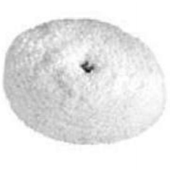 Chicago Pneumatic Tool CP8940158774 50 mm Wool Soft Pad-PSA
