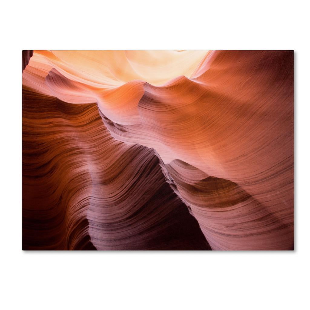 Trademark Fine Art "Smooth II" Canvas Art by Moises Levy