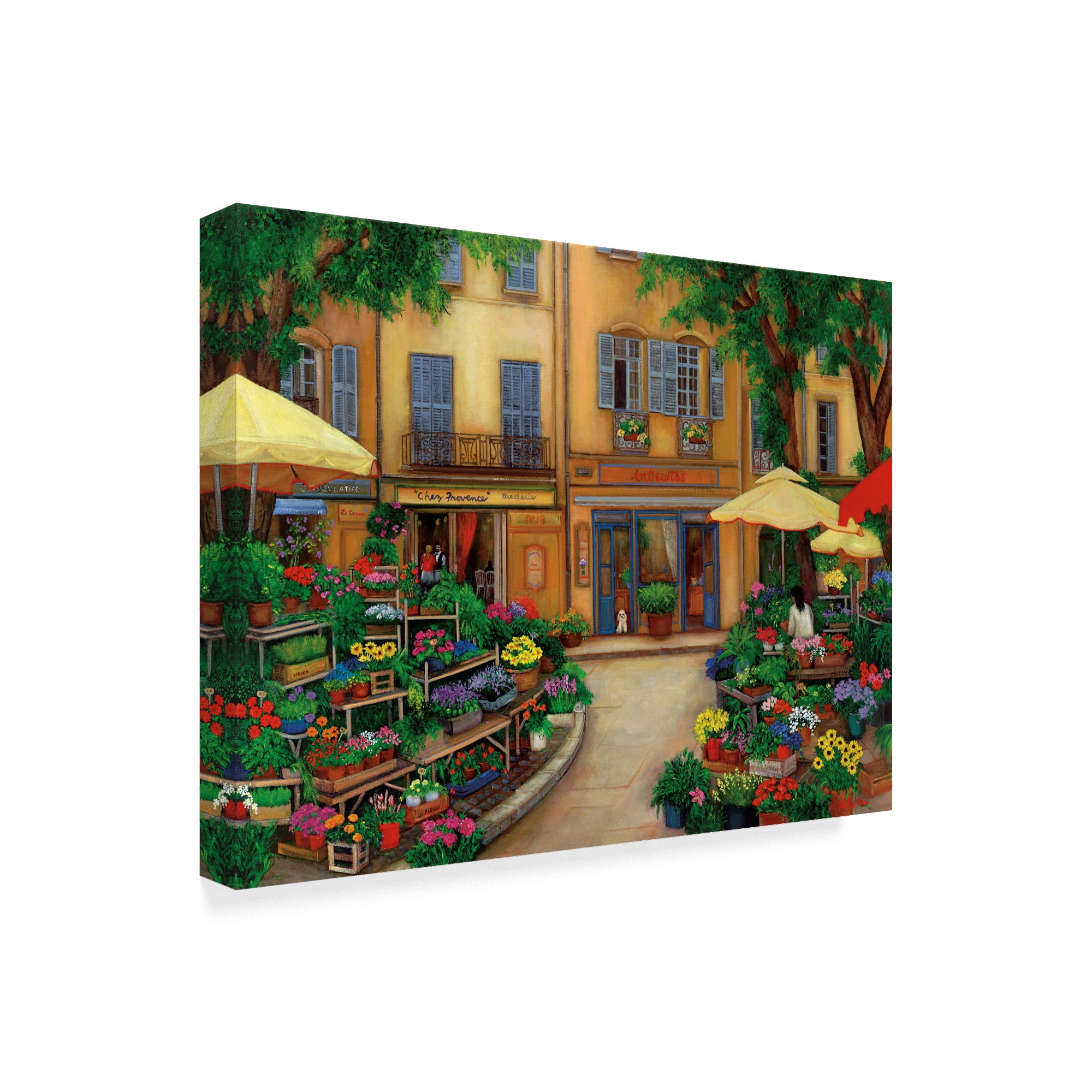 Trademark Fine Art 'Flowers In Aix' Canvas Art by Betty Lou