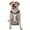 With Accessories, variant on Vsdgher Labrador Retriever Dog Pattern Dog Harness,No Pull Pet Harness with Soft Padded Handle,Adjustable Reflective Vest with 2 Buckles,4 Slide Buckles,S-XL Large