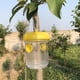 thumbnail image 5 of 5X Fly Wasp Trap Fruta Moscas Insecto Insecto Colgando Árbol Honey Catcher Killer Tmvgtek Oficina Multiescena Multifunción, 5 of 9