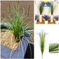 thumbnail image 4 of Plantas artificiales CATTREE, hierba de trigo, 50 cm, 16 paquetes, 4 of 8