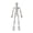White, variant on Five Inch DIY Skeleton Assembly Toy Movable Articulated Human Figure Perfect for Halloween Decoration and Creative Playtime