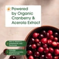 thumbnail image 6 of NatureBell Cranberry Concentrate - 240 Capsules - Organic Cranberry Concentrate with Acerola Cherry - Urinary Tract & Prostate Support - Vegetarian - 240 Servings, 6 of 8
