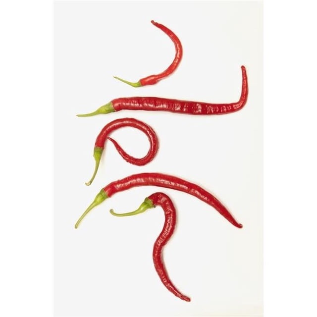 Posterazzi DPI1868958LARGE Cinq Poivrons Jalapeno Rouges Qui Ont Recourbé en Formes Uniques Affiche Imprimée, 24 x 38