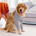thumbnail image 1 of Traje De Recuperación De Patas Delanteras Para Perros, Coderas Protectoras Suaves Para Perros, Mangas De Recuperación Para Perros Después De La Cirugía Para Heridas De, 1 of 7