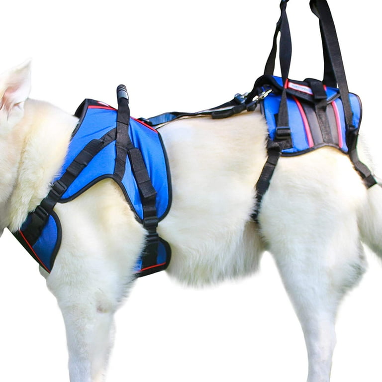 Walkin' Lift Rear Harness, Canine Hind End Support