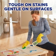 (2 pack) Soft Scrub Cleanser with Bleach, Multi-Surface Cleaner for Bathroom, Germ-Kill, 24oz