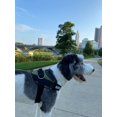 thumbnail image 6 of Essential Dog Harness, No-Pull Pet Vest with 3 Leash Clips, No Choke, Reflective, Adjustable and Padded, for Easy Walking and Training for Small, Medium and Large Dogs (Oceanic Blue, Medium), 6 of 6