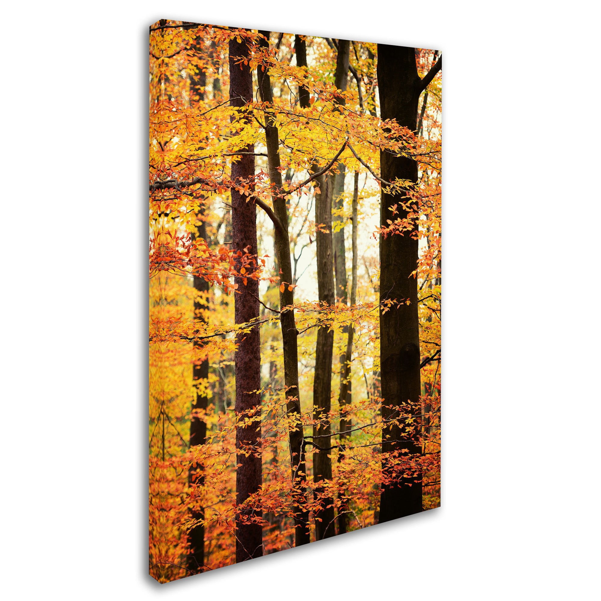 Trademark Fine Art "Between Us" Canvas Art by Philippe Sainte-Laudy