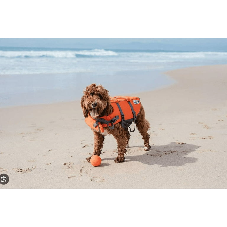 Nemo dog life jacket hot sale