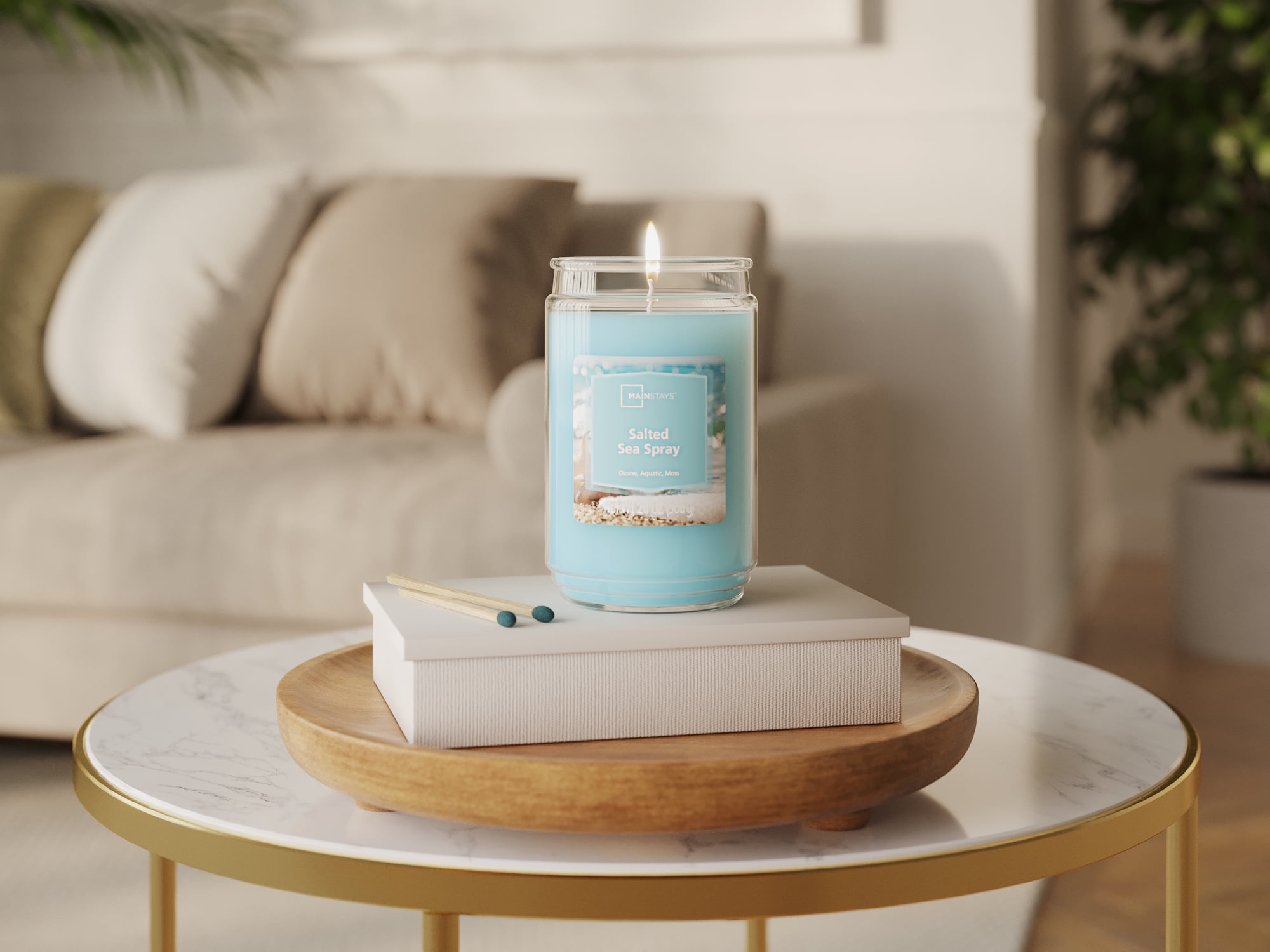 (2 pack) Mainstays Salted Sea Spray Single-Wick Scented Glass Jar Candle, 20 oz