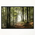 thumbnail image 2 of Designart - Green Fall Forest with Sun Rays - Landscape Photography Framed Canvas Print, 2 of 4