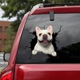 thumbnail image 4 of Animal Crack Car Sticker, 11.8 x 11.8 inch Car Window Decal,Multiple Styles Pet Static Electricity Sticker for Cars,3D Realistic Waterproof DIY Car Window Paste Stickers (C), 4 of 7