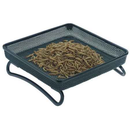 rainbow gardman compact tray bird feeder walmart com rainbow gardman compact tray bird feeder walmart com