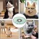 thumbnail image 3 of Recovery Collar for Cats, Adjustable Cat Collar, Protective Cat Collar Cone, Cone for Dogs, Cats, Kittens and Puppies for Wound Care Light green S, 3 of 5