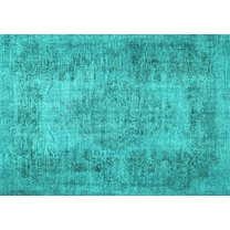 Ahgly Company Indoor Rectangle Persian Turquoise Blue Traditional Area Rugs, 5' x 7'