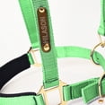 thumbnail image 3 of X-Small HILASON Western Horse Top Grade Nylon Comfortable & Flexible Halter, 3 of 3