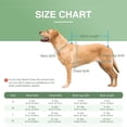 thumbnail image 4 of Dog Spinal Support Brace, Dog Intervertebral Disc Support Vest, Back Protection Vest, Black, 4 of 4