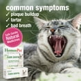 thumbnail image 3 of HomeoPet Feline PURR DENTAL, Water Additive, Dental Care Support Drops for Cats, 15 mL, 3 of 7