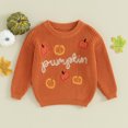 thumbnail image 2 of Okbabeha Toddler Baby Girl Boy Knit Sweater Pumpkin Long Sleeve Pullover Crewneck Sweatshirt Fall Halloween Baby Clothes, 2 of 7
