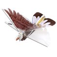 thumbnail image 1 of Flying Bird Creative Simulated Eagle Parrot Remote Control Toy Flying Toy RC Toy, 1 of 8