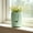 Green, variant on Self-Watering Planter - Purple Plastic Pot with Cotton Wicks Thickened All-Season Pot for Indoor Plants