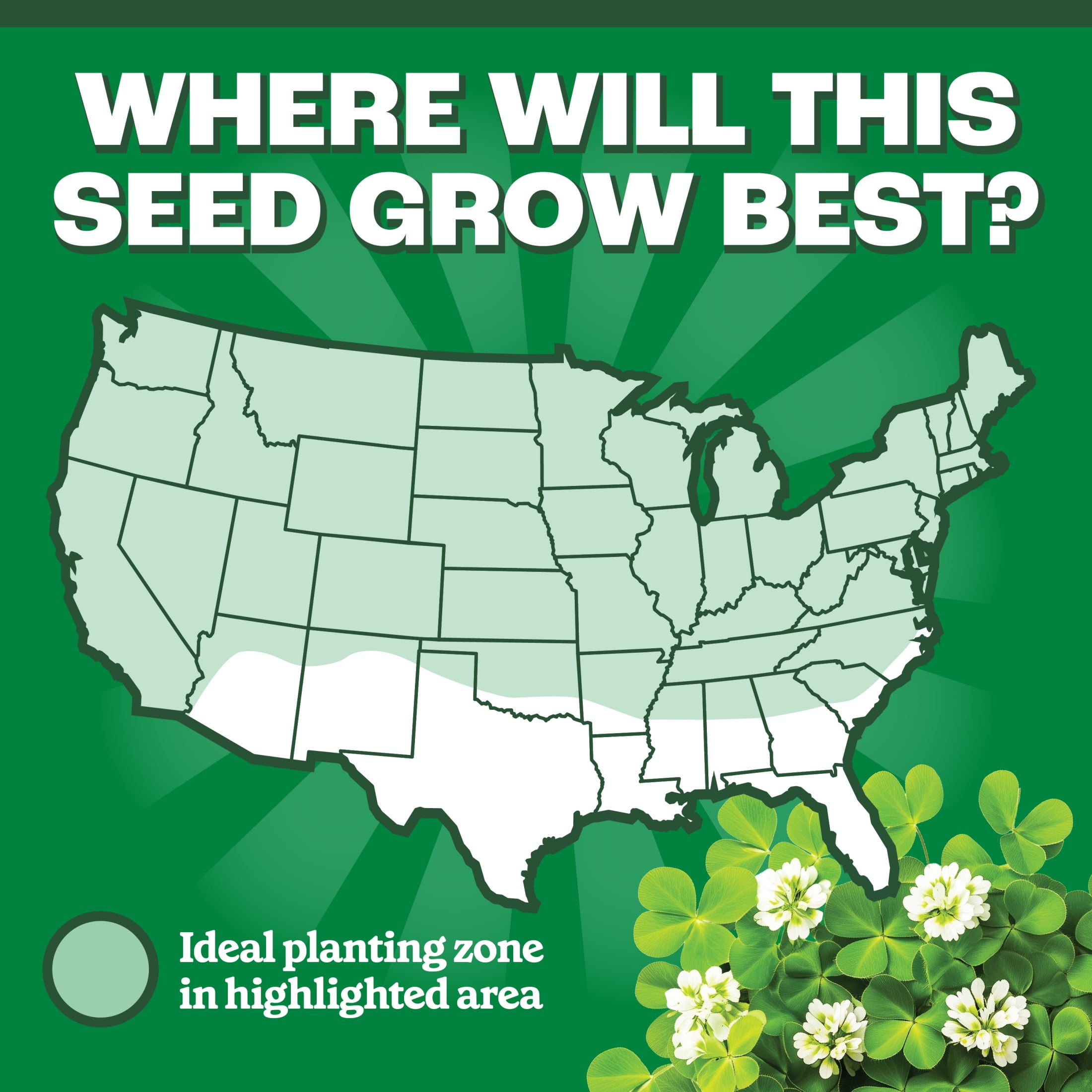 Pennington  White Clover Seed, 2lb