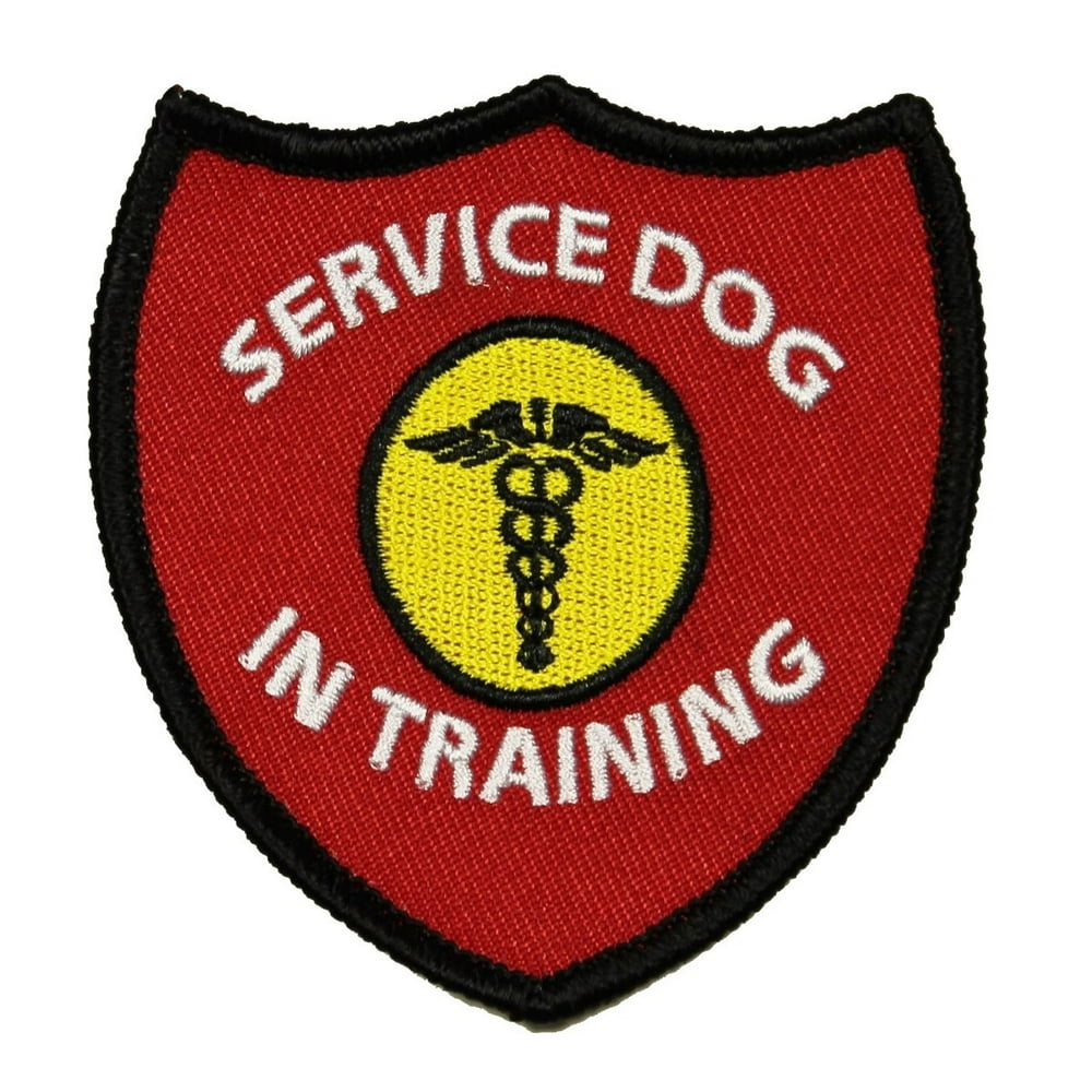 Unleash Your Service Dog's Style with these Top 10 Vests and Patches A