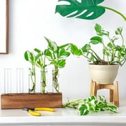 Desktop Plant Propagation Station, Dingrich 5 Glass Test Tube Plant Terrarium with Wooden Stand for Hydroponic Plants Home Office Home Decoration