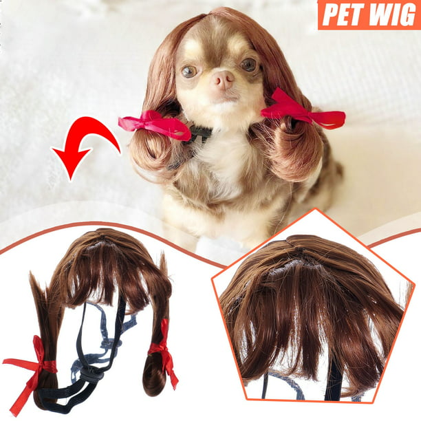 Steady Pet Cat Dog Funny Show MOE Wig Explosives Head With Fringe Small  Braids Wig 