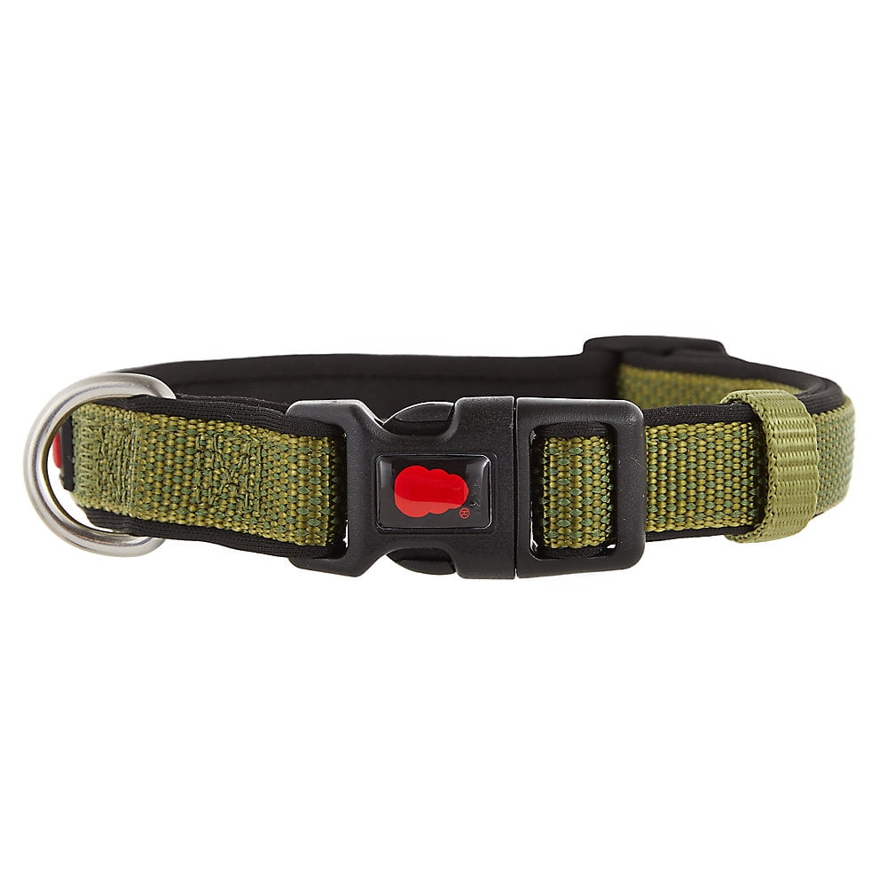 kong padded collar small
