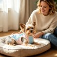 thumbnail image 4 of Breathable Ice Silk Dog Cooling Vest, UV Protection Lightweight Summer Puppy T-Shirt, Cooling Pet Apparel for Outdoor Walks, 4 of 4