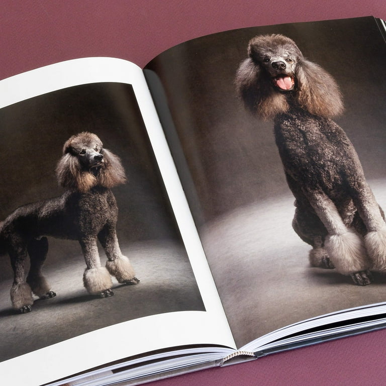 The Year of the Dogs, (Hardcover) - Walmart.com