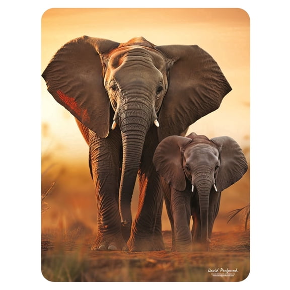 3D LiveLife Magnet Sunset Stroll from Deluxebase Lenticular 3D Safari Fridge Magnet Decor