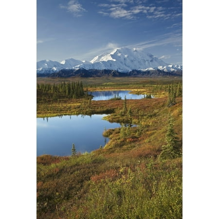 Colors Denali National Park Scenic View Of Tundra Ponds And Fall Colors With Mt Mckinley In The Background Denali National Park Alaska Stretched Canvas - John Delapp Design Pics (12 x 19) ()