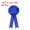 Blue, variant on Uxcell 60 Pcs Award Ribbons 1st, 2nd, 3rd Place Winner Prize Ribbon, Blue