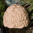 thumbnail image 5 of Uqiangy Halloween Hat Crochet Cerebrum Adults Personality Brain Cap Knitted Kids Hat Caps Thinking Cap Silly Hat Beige, 5 of 5