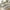 Brown+White, variant on Churanty 7 Piece Wood Extendable Dining Table Set, Brown/White