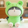 thumbnail image 1 of Juguete de Peluche cerdo Rana Panda gato Tabby muñeco blando con capucha Jinlin, 1 of 5