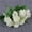 White, variant on LKZQHMC 1 Bunche Bouquet of Artificial Silk Flower Carnations, Bouquet and Green Leaf for Home Party,Bridal Wedding Holding Flowers Festival Decor with 10 Per Bunch Flower (White)